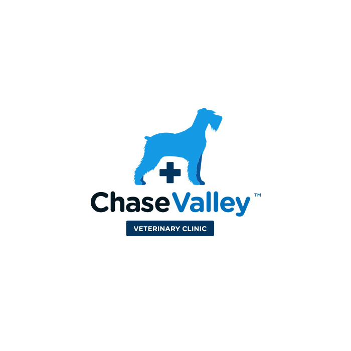 chase valley vet logo